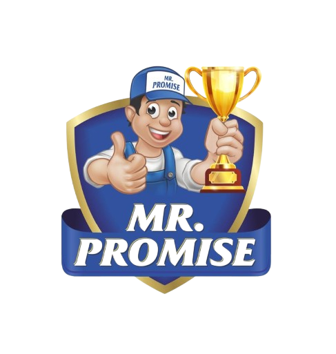 About Mr. Promise Paints